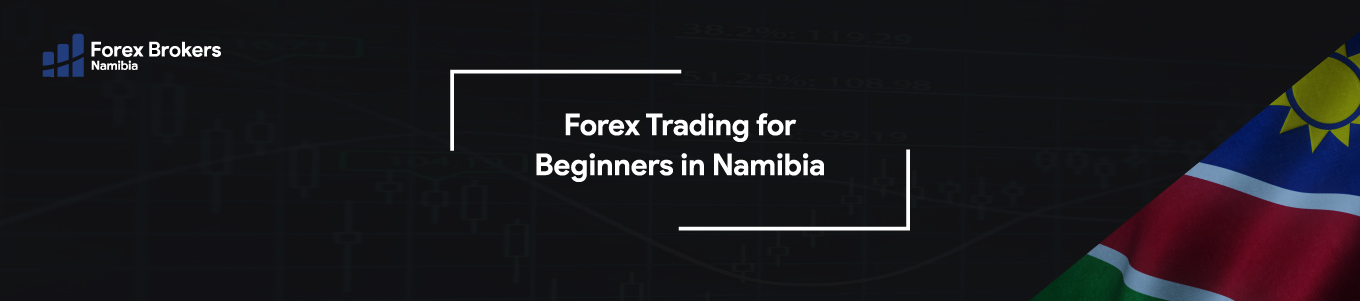 Forex Trading for Beginners in Namibia reviewed